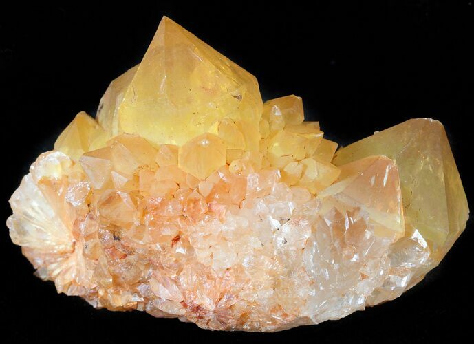 Sunshine Cactus Quartz Crystal - South Africa #47192